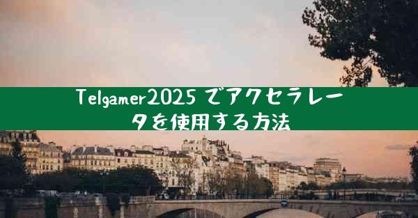 Telgamer2025 でアクセラレータを使用する方法