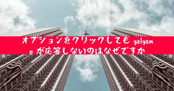 オプションをクリックしても galgame が応答しないのはなぜですか