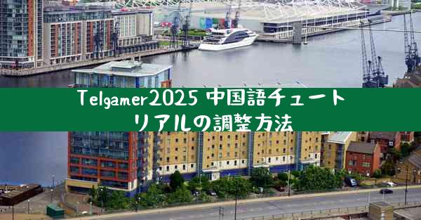 Telgamer2025 中国語チュートリアルの調整方法