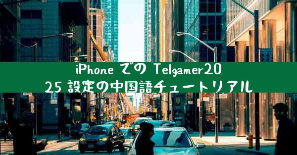 iPhone での Telgamer2025 設定の中国語チュートリアル