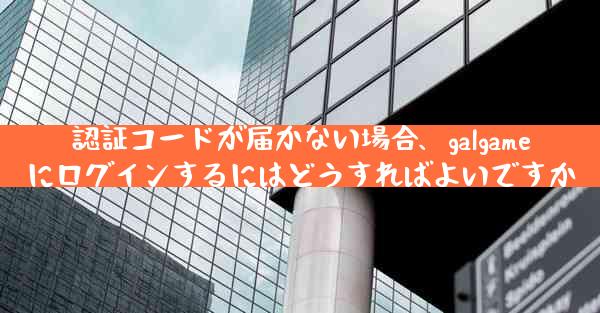 認証コードが届かない場合、galgameにログインするにはどうすればよいですか