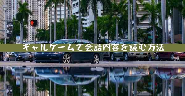 ギャルゲームで会話内容を読む方法