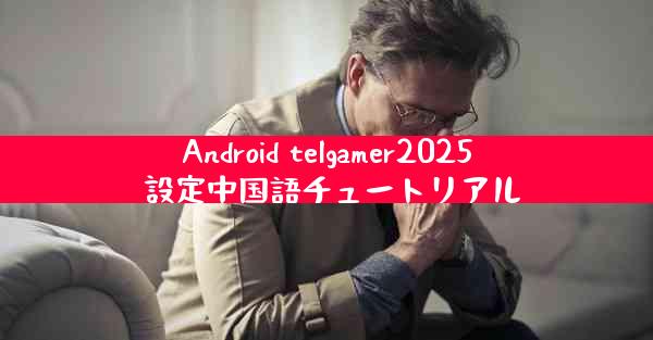 Android telgamer2025 設定中国語チュートリアル
